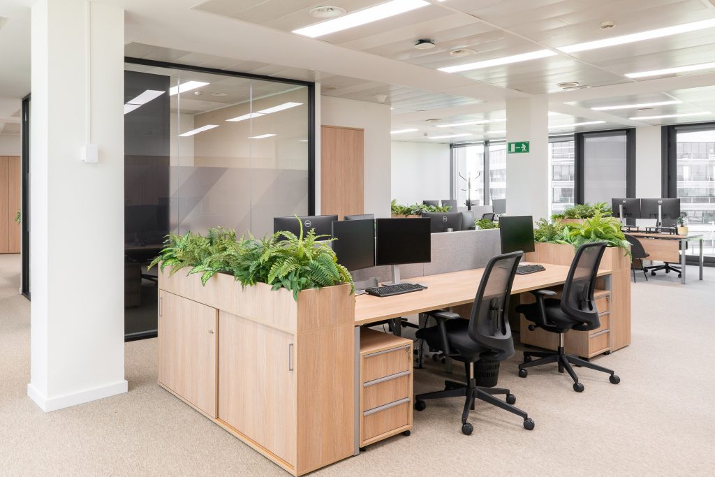 Planta 3 Palex — zona operativa